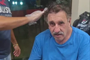 Ratinho maduro
