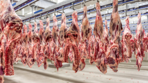 indústria da carne nos Estados Unidos