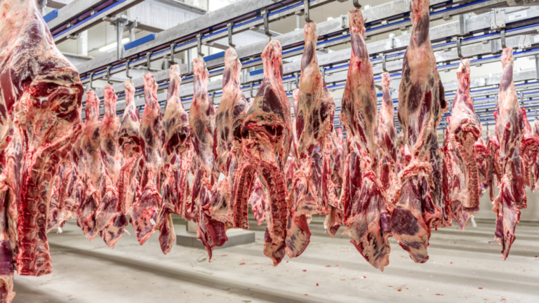 EUA investigam gigantes da indústria da carne em meio a encontro de Lula e Trump