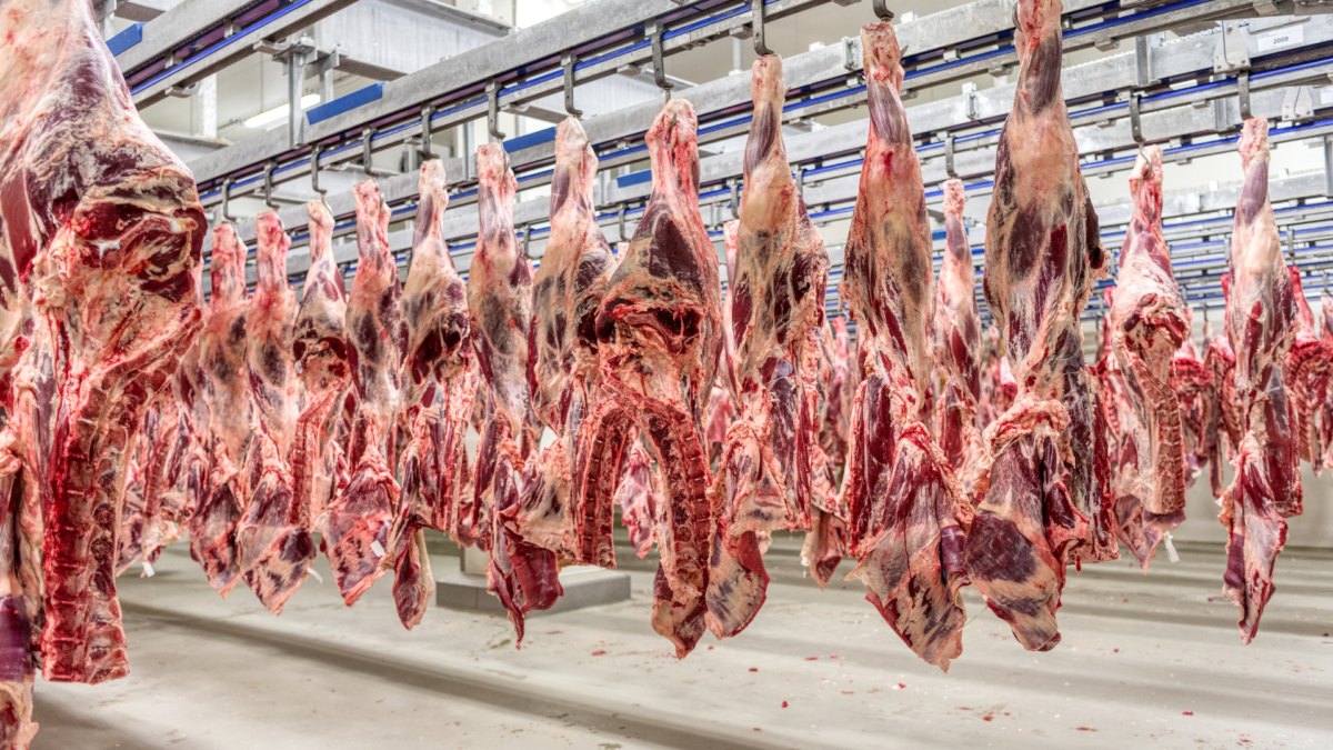indústria da carne nos Estados Unidos