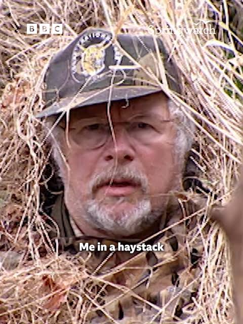 Bill Oddie