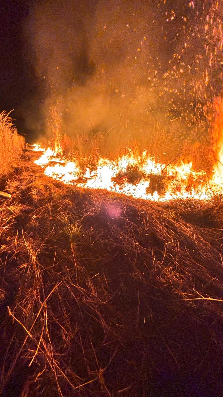 incêndios florestais