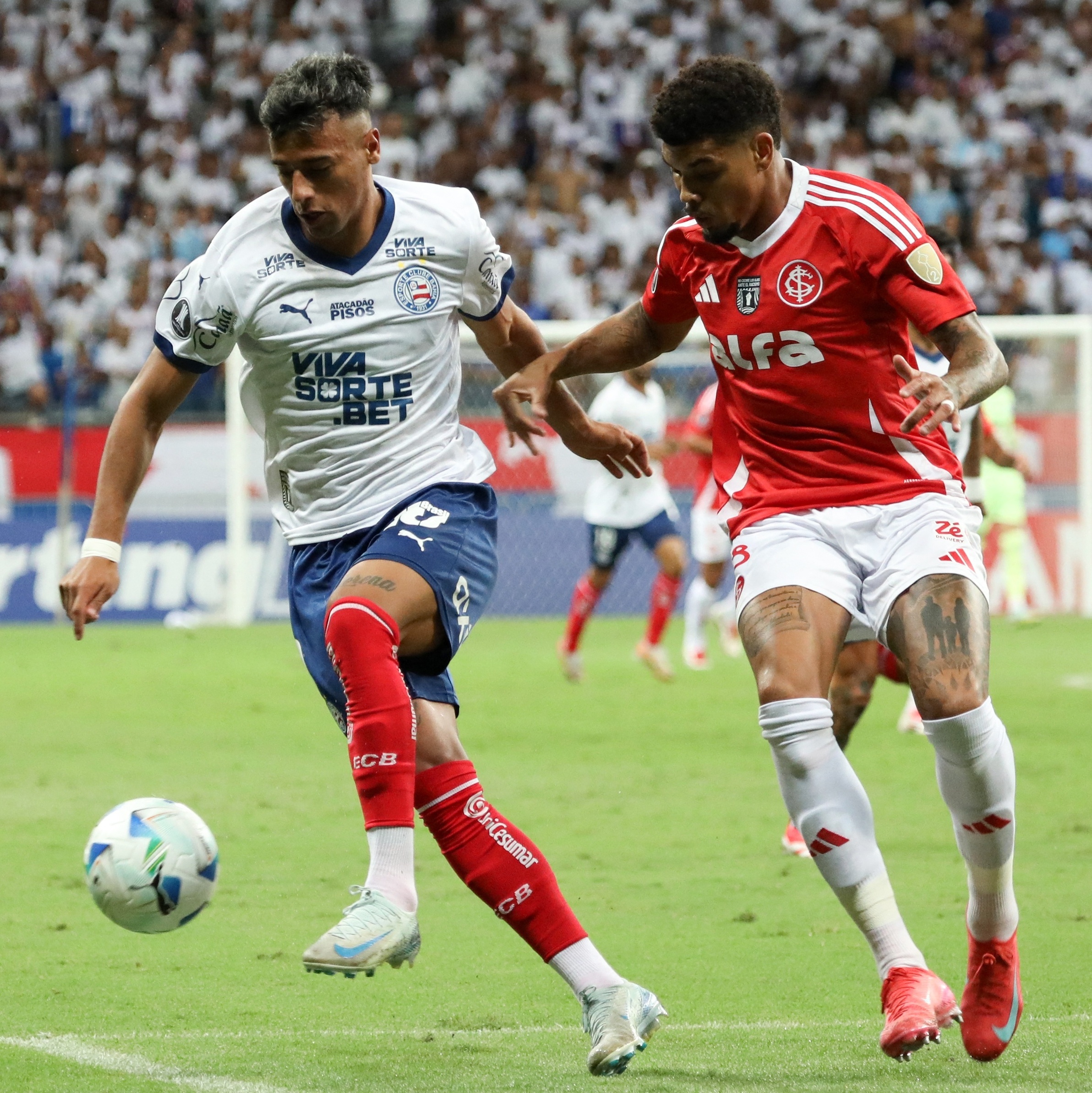 Bahia internacional