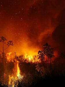 incêndio no norte de Mato Grosso