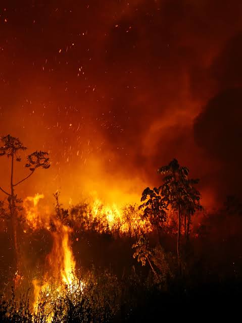 incêndio no norte de Mato Grosso