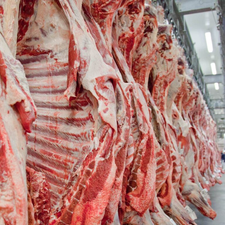 Veto da UE à carne brasileira deve elevar preços no mercado interno