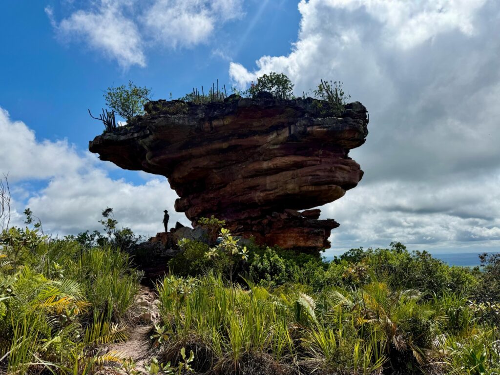 Chapa Diamantina ganha nova unidade de conservação com 18,3 mil hectares