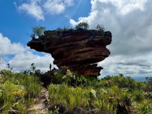 Chapa Diamantina ganha nova unidade de conservação com 18,3 mil hectares
