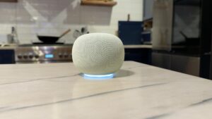 Google Home MCP