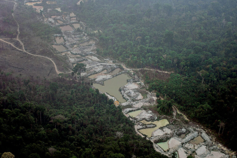 MPF abre inquérito contra eBay por venda ilegal de mercúrio para garimpo na Amazônia