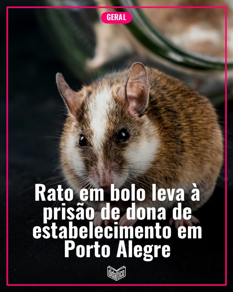 Rato mo$@#& em bolo leva à prisão de dona de estabelecimento em Porto Alegre