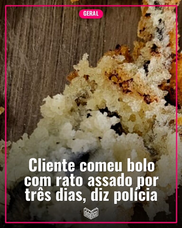 Rato assado em bolo: cliente consumiu produto por três dias antes de notar contaminação, aponta polícia